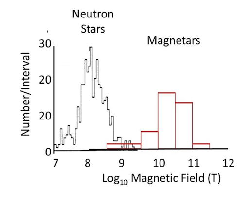 Magnetic field comparison: neutron star pulsars vs magnetar pulsars